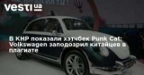     Punk Cat: Volkswagen    